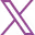 Share on X icon